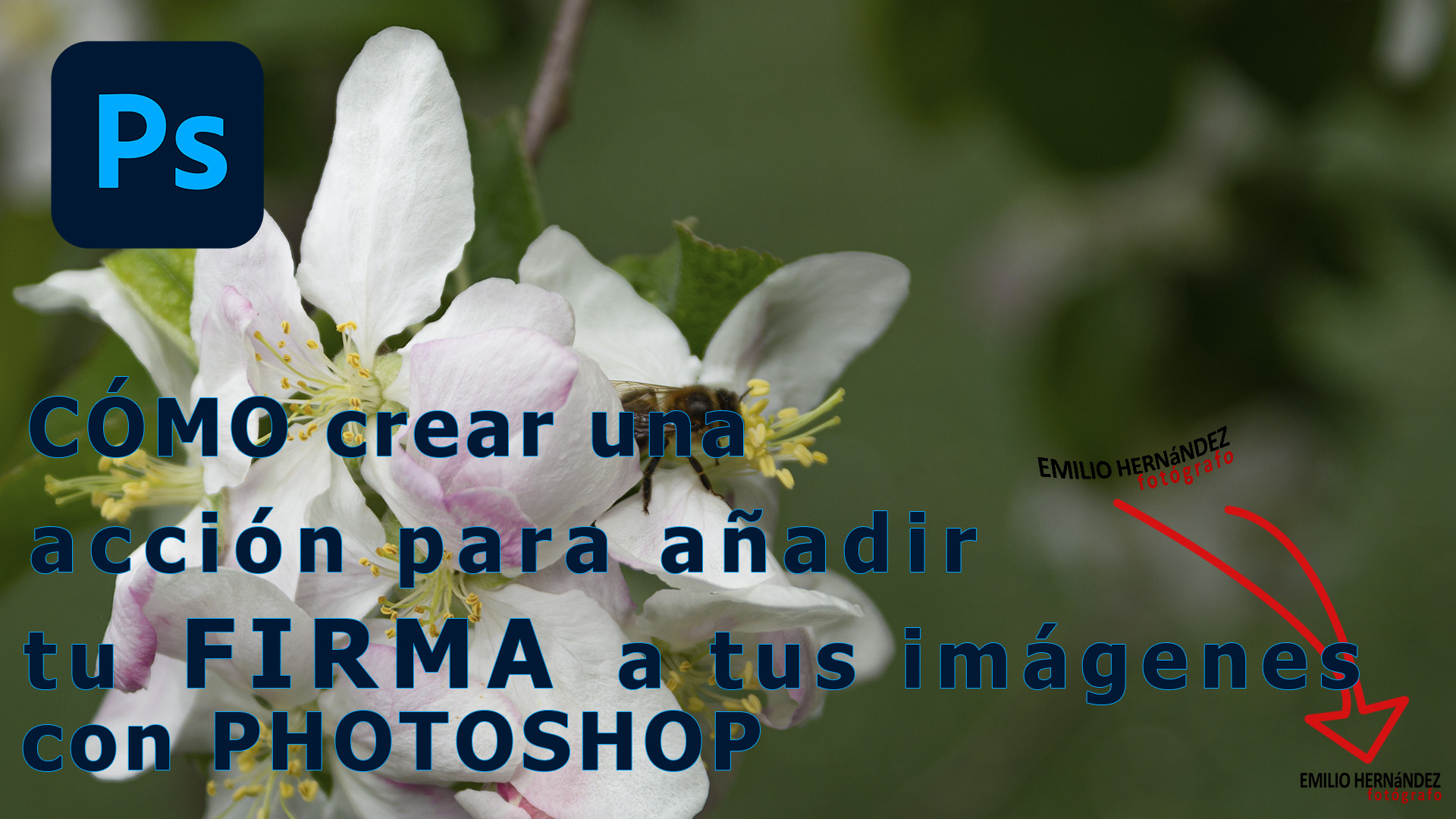 How to create an action that adds a watermark to your images